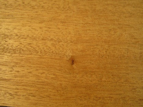 Largest knot on entire oard